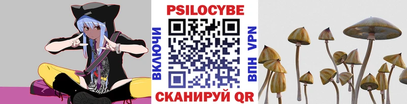 Галлюциногенные грибы мицелий  Болхов 